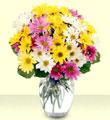 Mixed Daisy Bouquet with Vase