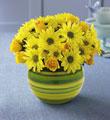 The FTD Sunburst� Bouquet