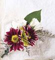 The FTD� Evermore� Boutonniere